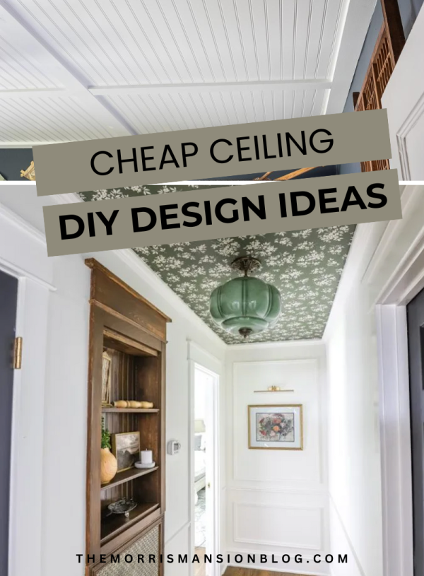 You Won’t Believe What I Did To My Ceiling-DIY Ideas